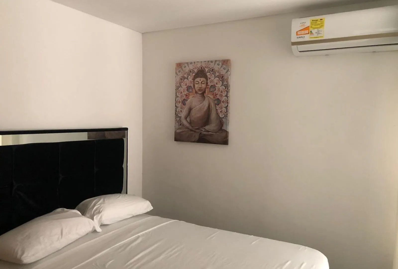 Luxury Apt contacts